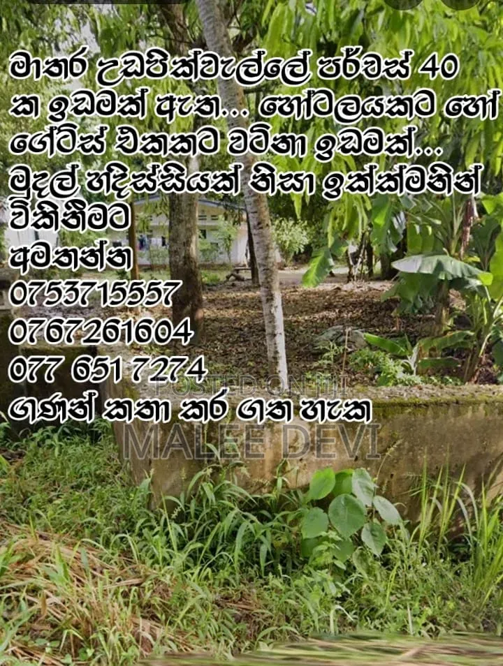 Land for Sale