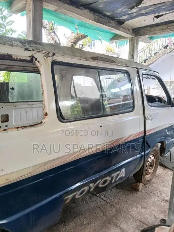 LH30DOLPHINBODY for Van