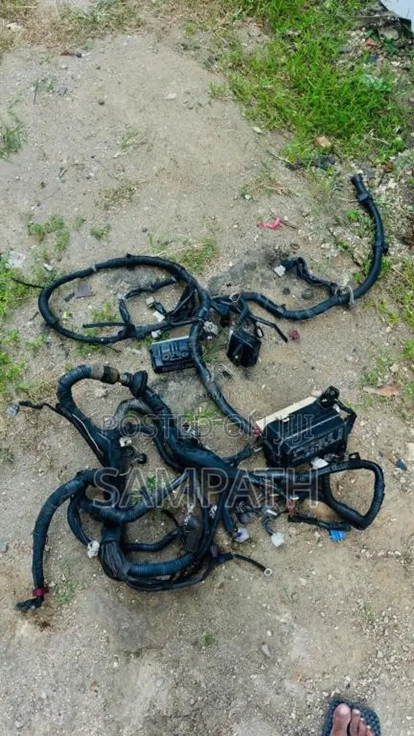 2cMolliEngineJapanRecondition for Car
