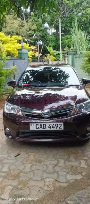 Toyota Axio 2014 Car (Used)