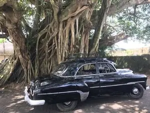 Chevrolet Duluxe 1951 Car (Used)
