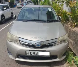Toyota Axio 2014 Car (Used)