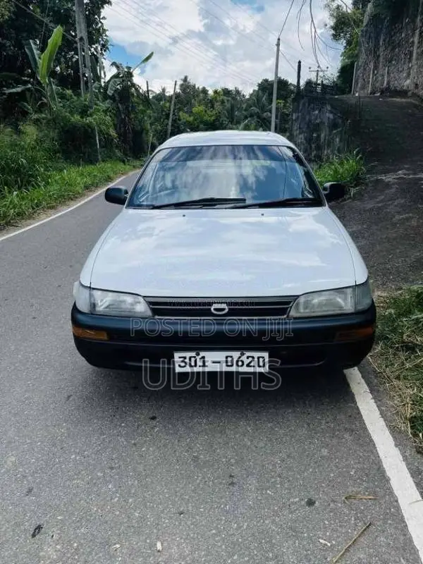 Toyota Corolla Elephant Back 1995 Car (Used)