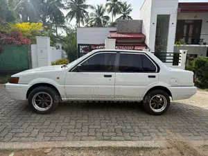 Nissan Sunny 1991 Car (Used)