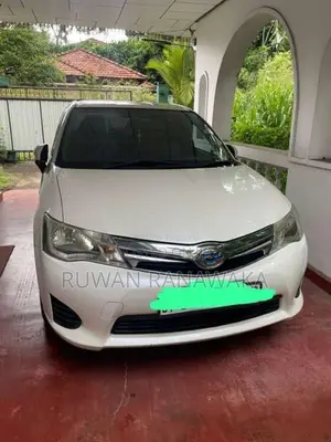 Toyota Axio 2013 Car (Used)