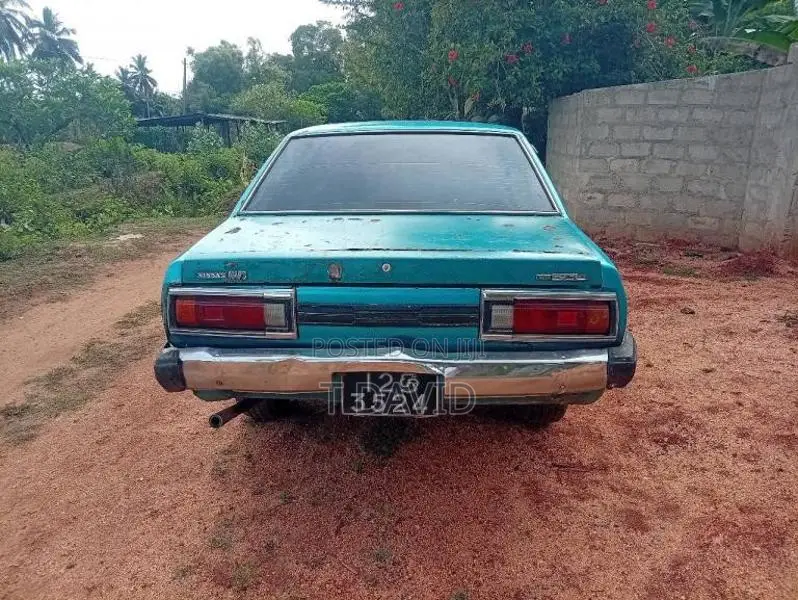 Nissan Sunny 1981 Car (Used)