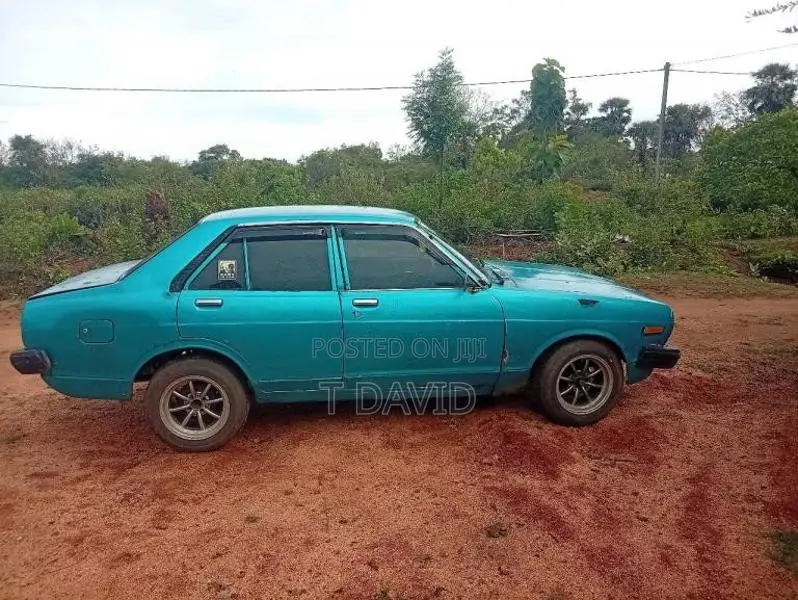 Nissan Sunny 1981 Car (Used)