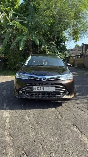 Toyota Axio 2015 Car (Used)