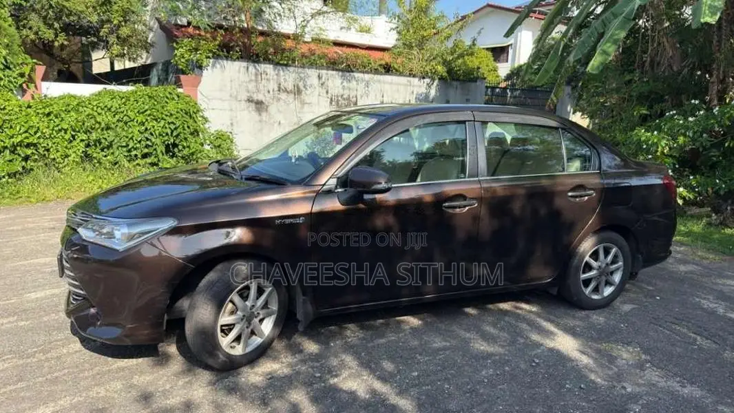 Toyota Axio 2015 Car (Used)