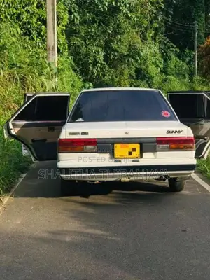 Nissan Sunny 1984 Car (Used)