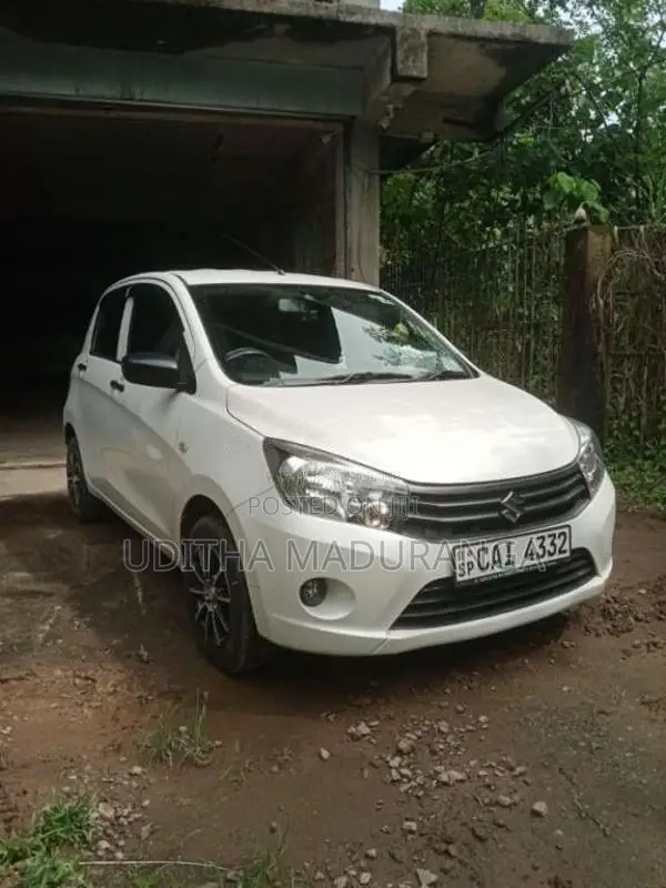 Suzuki Celerio 2015 Car (Used)
