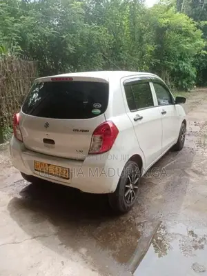 Suzuki Celerio 2015 Car (Used)
