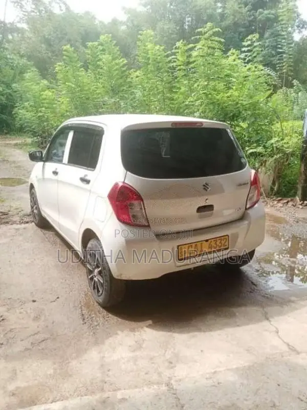 Suzuki Celerio 2015 Car (Used)