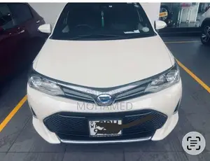 Toyota Axio WXB 2018 Car (Used)