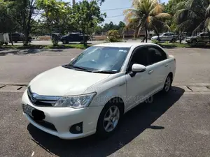 Toyota Axio 2015 Car (Used)