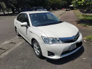 Toyota Axio 2015 Car (Used)