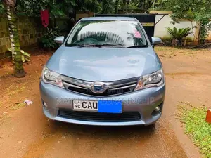 Toyota Axio 2014 Car (Used)
