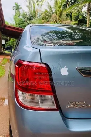 Toyota Axio 2014 Car (Used)