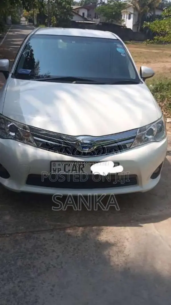 Toyota Axio 2015 Car (Used)