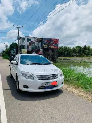 Toyota Axio 2007 Car (Used)