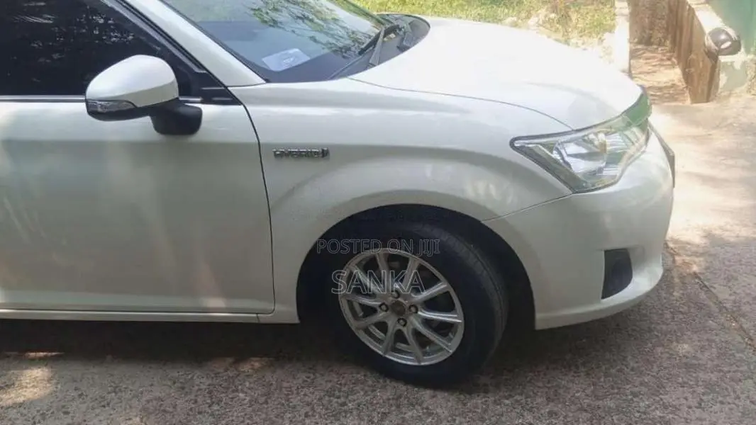 Toyota Axio 2015 Car (Used)