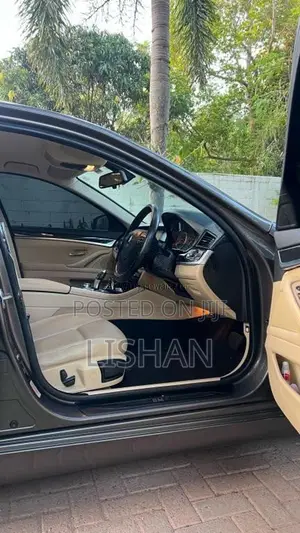 BMW 520D 2012 Car (Used)