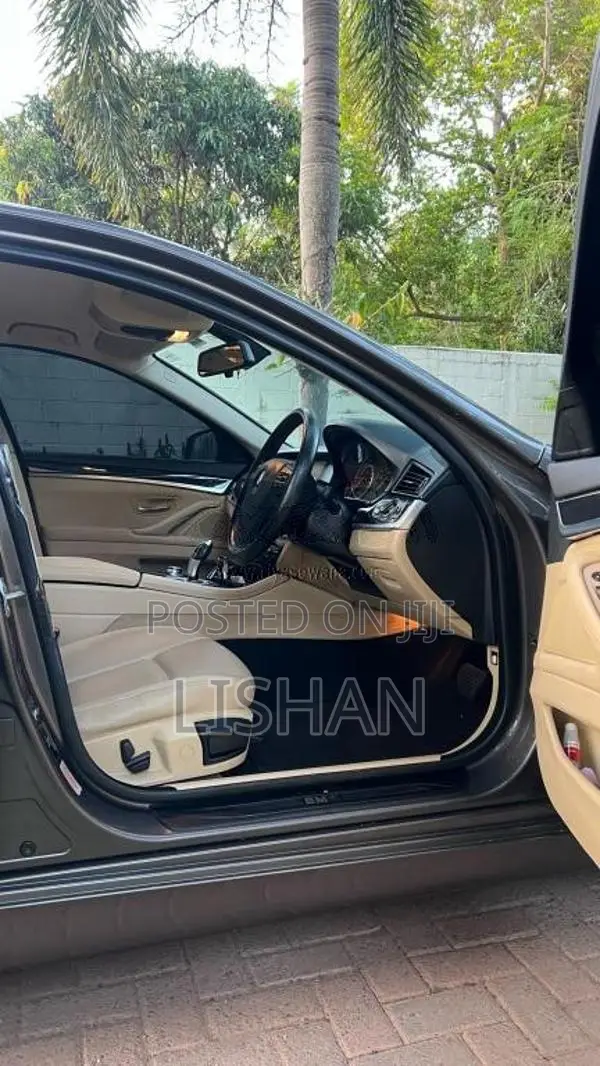 BMW 520D 2012 Car (Used)