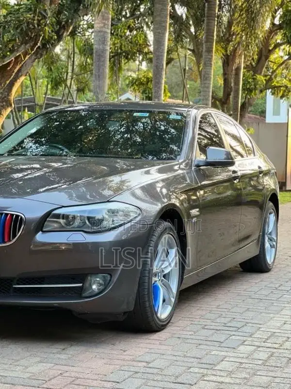 BMW 520D 2012 Car (Used)