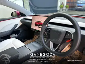Tesla Model 3 2024 Car (Used)