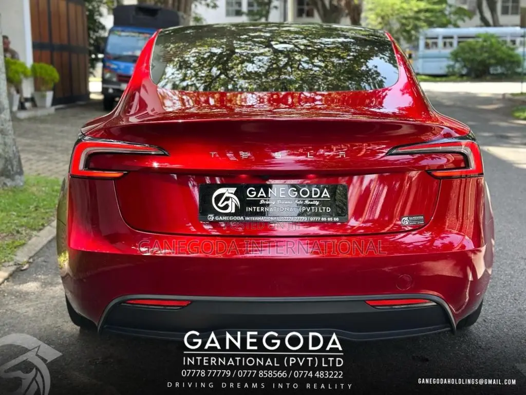 Tesla Model 3 2024 Car (Used)