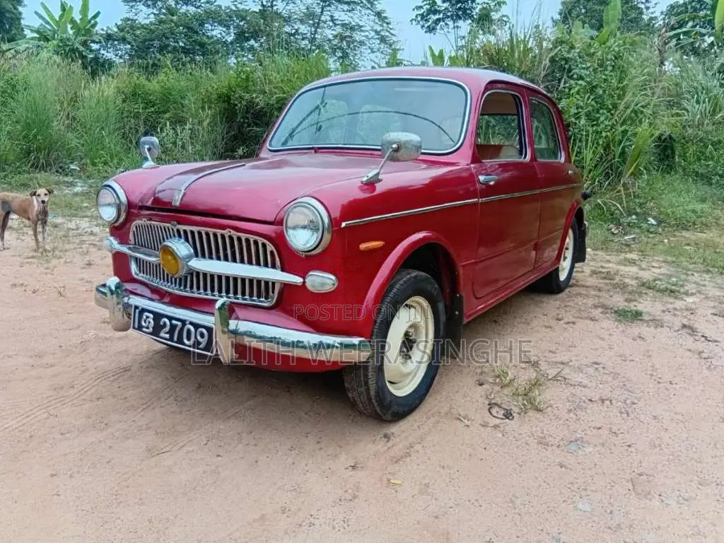 Fiat 1100 1956 Car (Used)