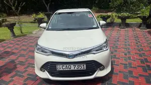 Toyota Axio G 2016 Car (Used)