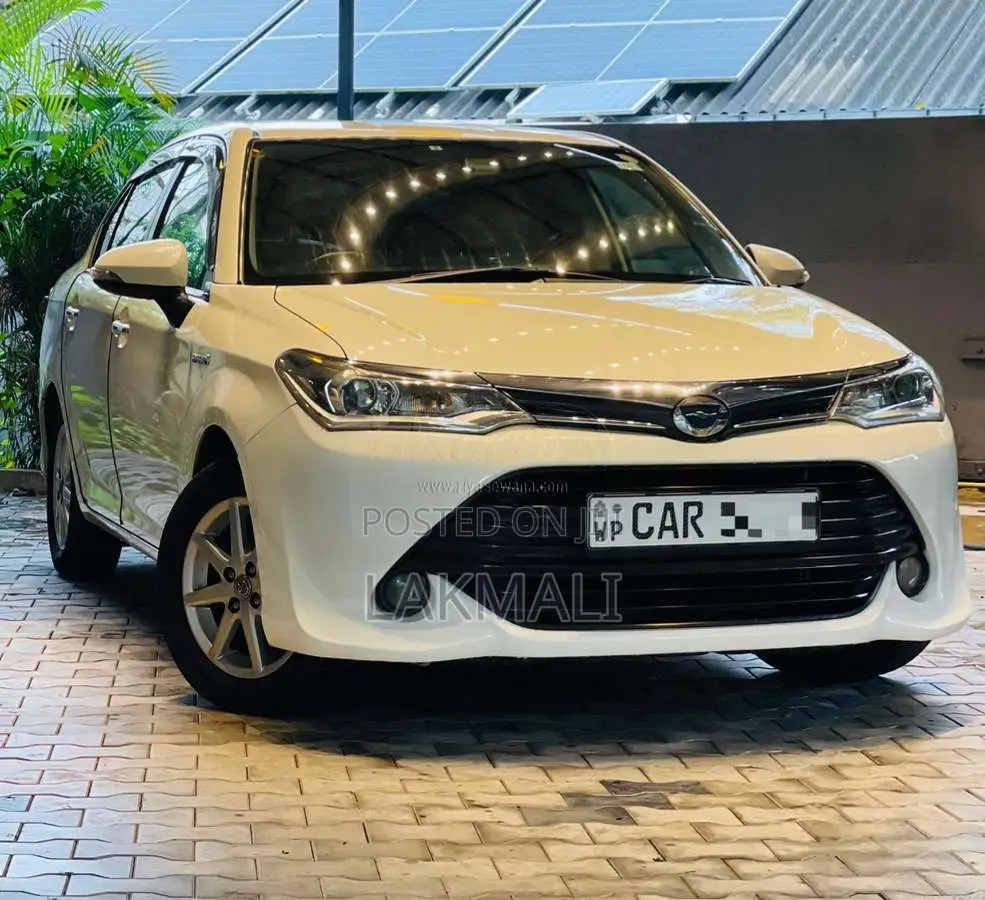 Toyota Axio 2017 Car (Used)