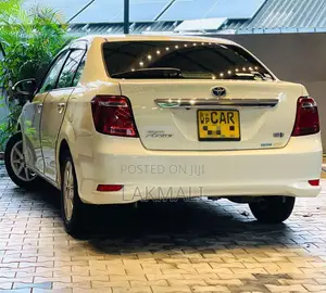 Toyota Axio 2017 Car (Used)