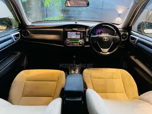 Toyota Axio 2017 Car (Used)