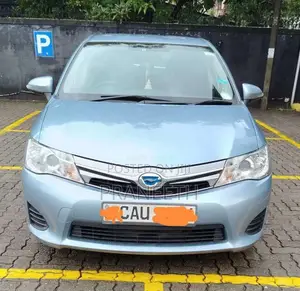 Toyota Axio 2014 Car (Used)