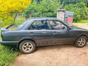 Nissan Sunny 1991 Car (Used)
