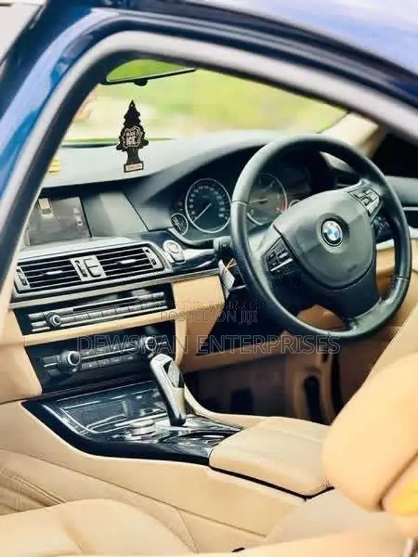 BMW 520D 2012 Car (Used)
