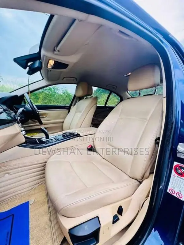 BMW 520D 2012 Car (Used)