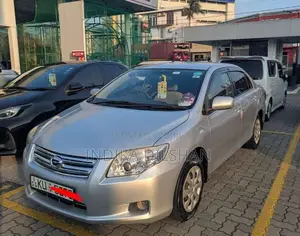 Toyota Axio 2011 Car (Used)