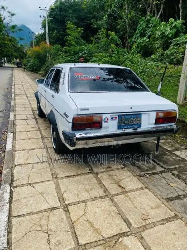 Nissan Sunny 1982 Car (Used)