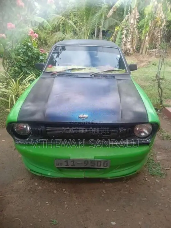 Datsun Sunny 1981 Car (Used)