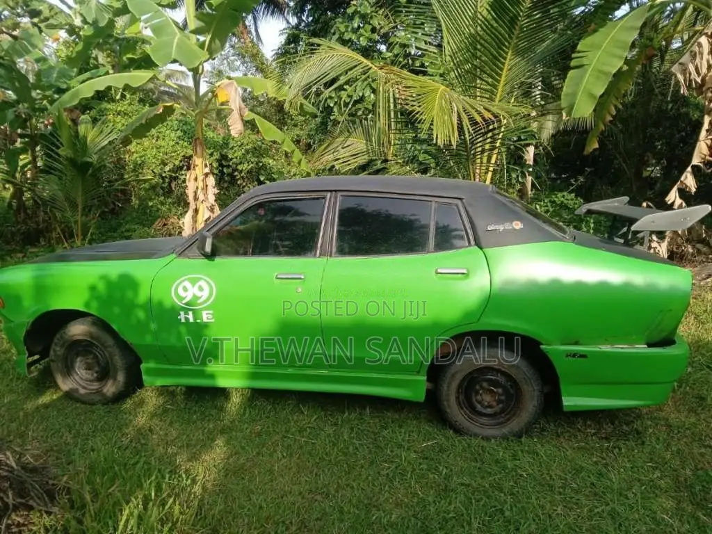 Datsun Sunny 1981 Car (Used)
