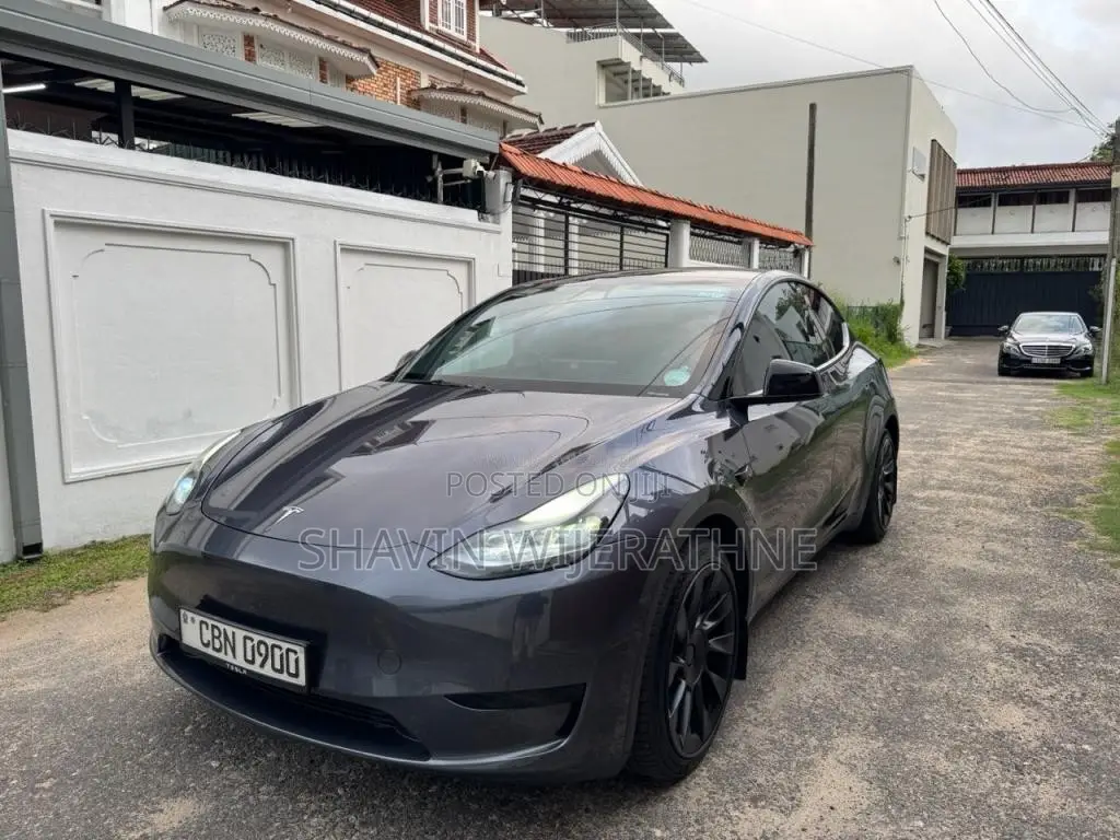 Tesla Model Y 2023 Car (Used)