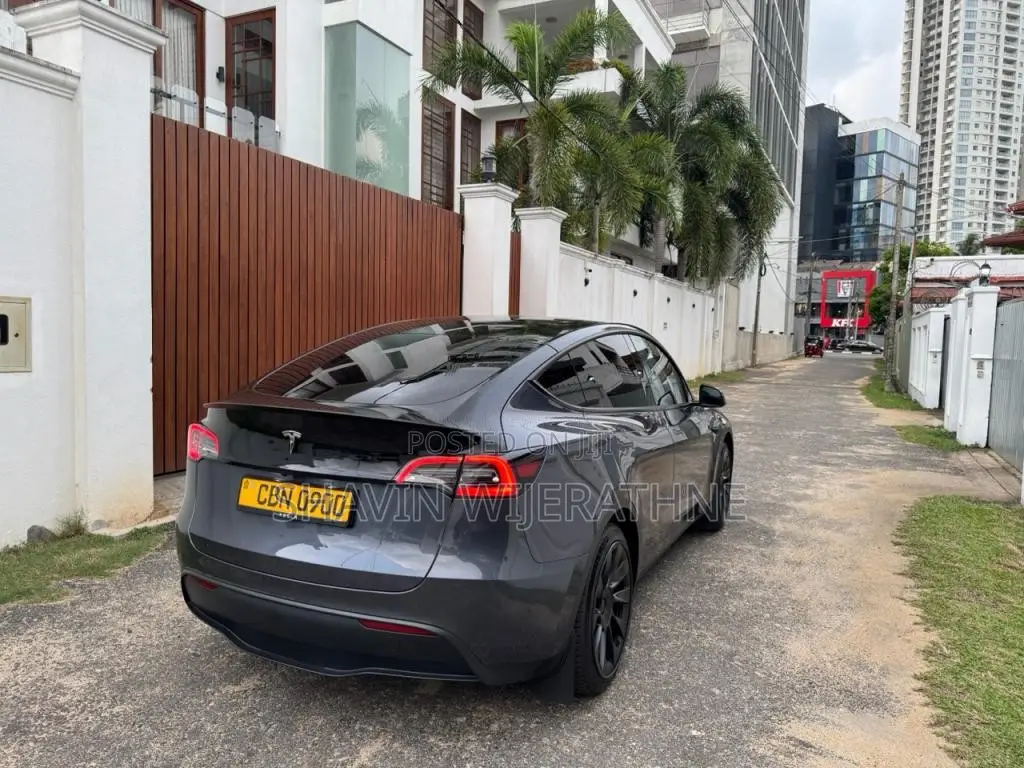 Tesla Model Y 2023 Car (Used)