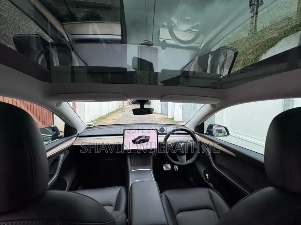 Tesla Model Y 2023 Car (Used)