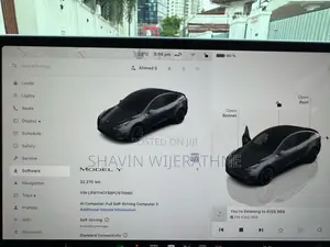 Tesla Model Y 2023 Car (Used)