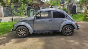 Volkswagen Beetle 1969 Car (Used)