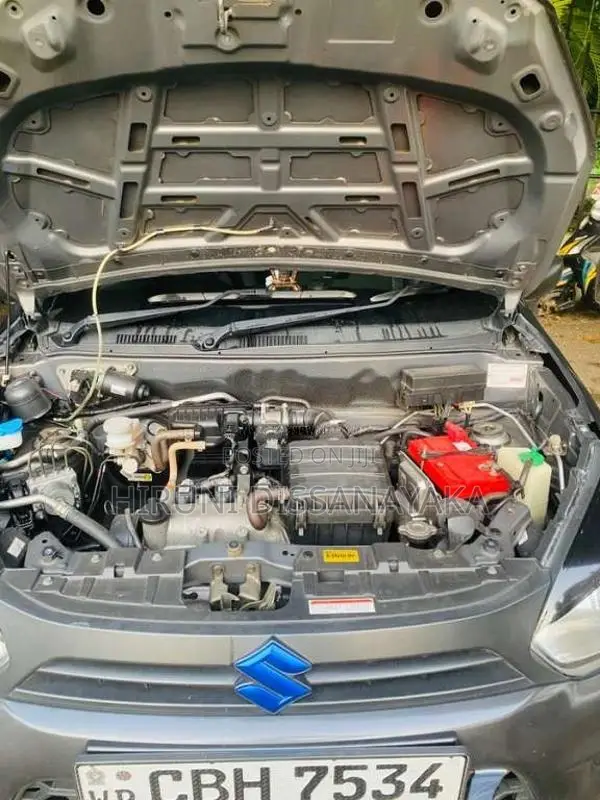 Suzuki Alto 2019 Car (Used)