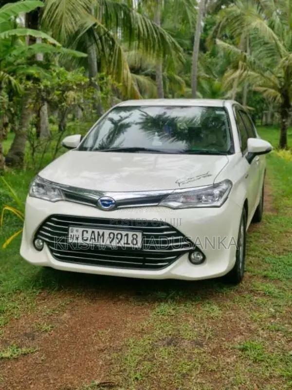 Toyota Axio 2015 Car (Used)